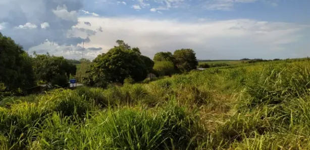 Fazenda / Sítio / Chácara com 2 Quartos à venda, 91960m² no Centro, Capivari
