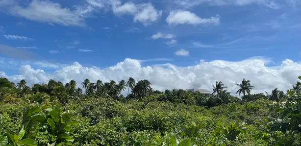 Terreno / Lote / Condomínio à venda, 46000m² no , Barra de Santo Antônio