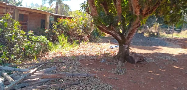 Fazenda / Sítio / Chácara à venda, 3000m² no Parque da Barragem Setor 13, Águas Lindas de Goiás