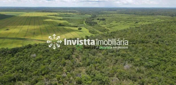 Fazenda / Sítio / Chácara à venda, 2154m² no , Pedro Afonso