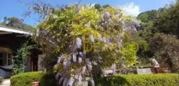 Loja / Salão / Ponto Comercial com 7 Quartos à venda, 665m² no , Campos do Jordão