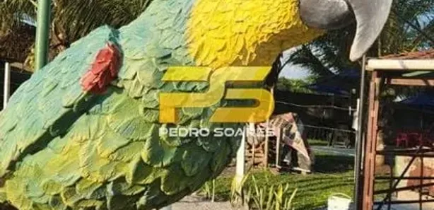 Fazenda / Sítio / Chácara com 2 Quartos à venda, 14200m² no , Pedras de Fogo
