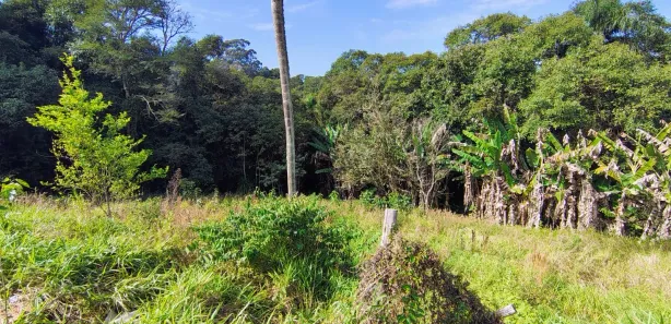 Fazenda / Sítio / Chácara com 2 Quartos à venda, 167m² no , Ibiúna