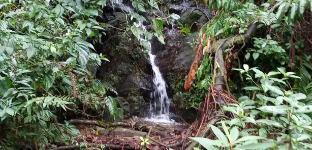 Fazenda / Sítio / Chácara à venda, 480000m² no Visconde de Mauá, Resende