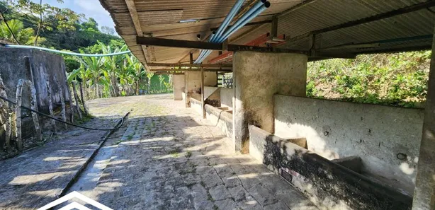 Fazenda / Sítio / Chácara à venda, 320000m² no Dois Leões, Pombos