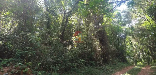 Terreno / Lote / Condomínio à venda, 2400m² no Cabeceiras, Nova Lima