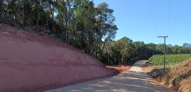 Fazenda / Sítio / Chácara à venda, 20000m² no Área Rural de Campo Largo, Campo Largo