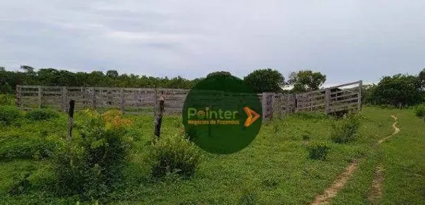 Fazenda / Sítio / Chácara à venda, 4410450m² no , Ponte Alta do Tocantins
