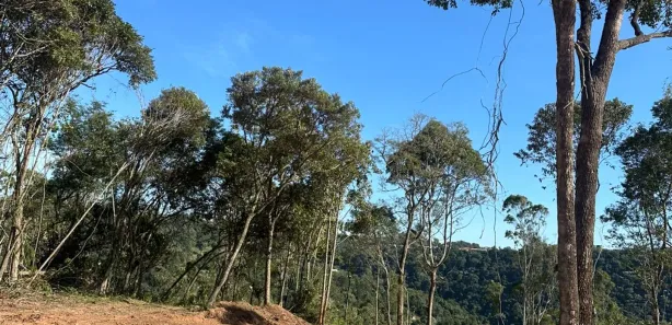 Terreno / Lote / Condomínio à venda, 1000m² no Saboó, São Roque