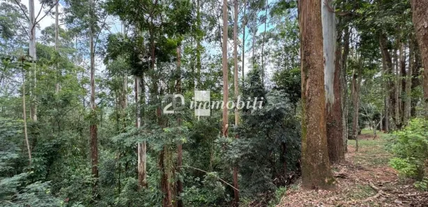 Terreno / Lote / Condomínio à venda, 3688m² no Moinho Velho, Embu das Artes