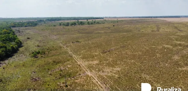 Fazenda / Sítio / Chácara à venda, 745m² no , Divinópolis do Tocantins