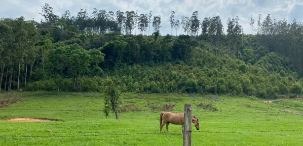 Terreno / Lote / Condomínio à venda, 1000m² no , Alumínio