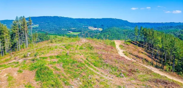 Fazenda / Sítio / Chácara com 1 Quarto à venda, 2693786m² no Centro, Campo Largo