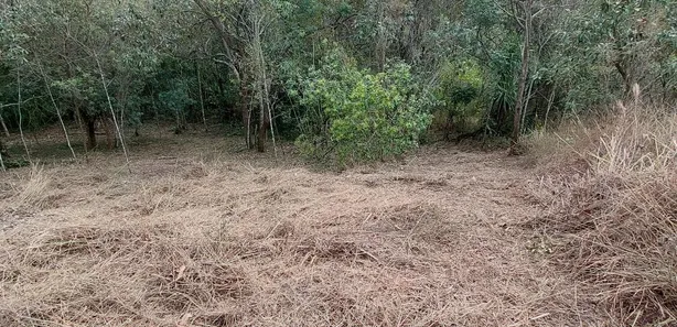 Terreno / Lote / Condomínio à venda, 1000m² no Roseira, Mairiporã
