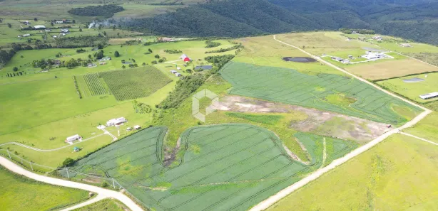 Terreno / Lote / Condomínio à venda, 20000m² no São Luiz do Purunã, Balsa Nova