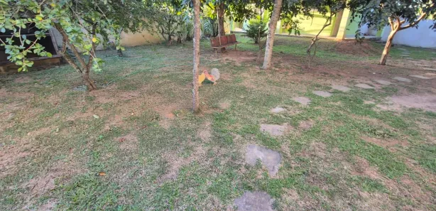 Casa com 5 Quartos para alugar, 300m² no Cantagalo, Rio das Ostras