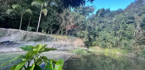 Fazenda / Sítio / Chácara com 3 Quartos à venda, 20000m² no Usina, Atibaia