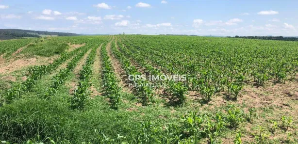Fazenda / Sítio / Chácara com 3 Quartos à venda, 211m² no Fazenda Floresta, Alambari