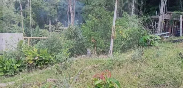Terreno / Lote / Condomínio à venda, 400m² no , Águas Mornas
