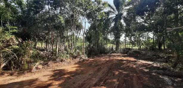 Terreno / Lote / Condomínio à venda, 4480m² no Busca Vida (Abrantes), Camaçari