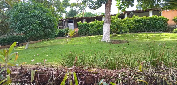 Fazenda / Sítio / Chácara com 7 Quartos à venda, 240000000m² no Matriz, Vitória de Santo Antão