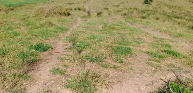 Fazenda / Sítio / Chácara com 2 Quartos à venda, 80m² no , Pilar do Sul