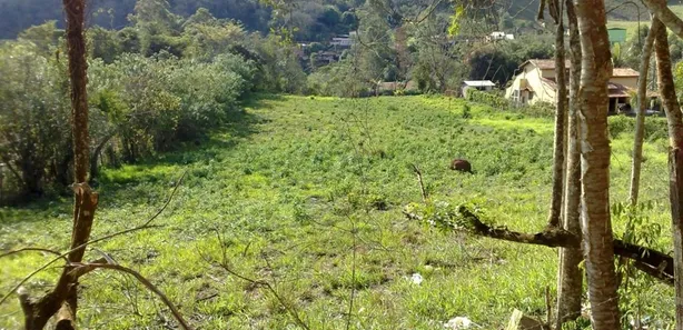 Fazenda / Sítio / Chácara com 1 Quarto à venda, 18190m² no Área Rural de Viçosa, Viçosa