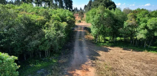 Fazenda / Sítio / Chácara com 1 Quarto à venda, 36000m² no Eucaliptos, Fazenda Rio Grande