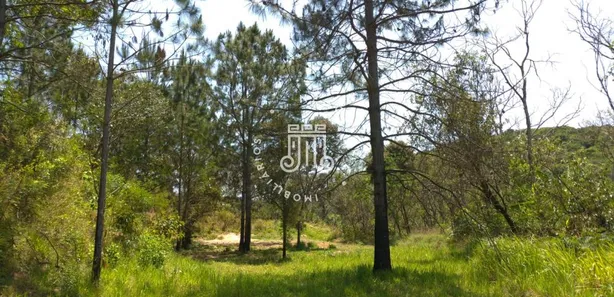 Fazenda / Sítio / Chácara com 8 Quartos à venda, 800m² no Vila Palmares, Franco da Rocha