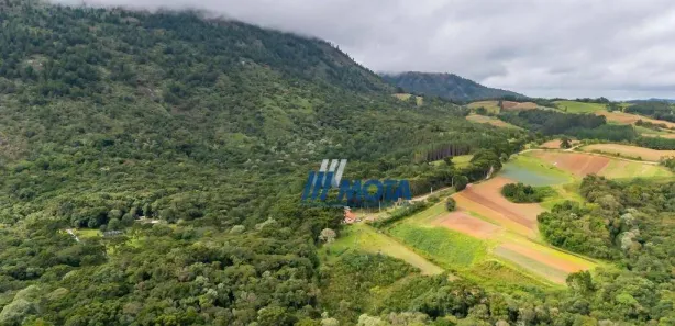 Fazenda / Sítio / Chácara com 3 Quartos à venda, 200m² no Serra do Araçatuba, Tijucas do Sul