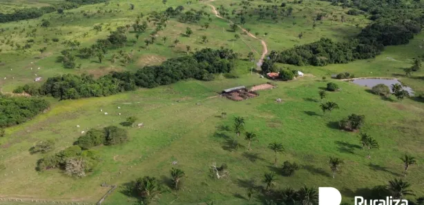 Fazenda / Sítio / Chácara à venda, 1403m² no , Arapoema