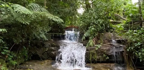 Fazenda / Sítio / Chácara com 2 Quartos à venda, 70m² no Sana, Macaé