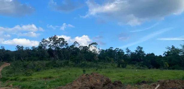 Fazenda / Sítio / Chácara com 2 Quartos à venda, 1000m² no Saboó, São Roque