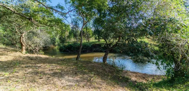 Fazenda / Sítio / Chácara com 4 Quartos à venda, 100000m² no Área Rural de Planaltina, Brasília