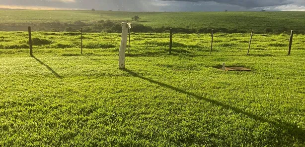 Fazenda / Sítio / Chácara com 3 Quartos à venda, 75m² no , Pompéia