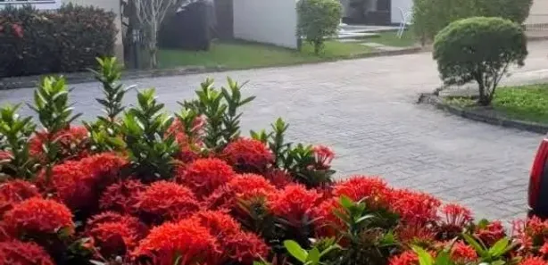 Casa de Condomínio com 2 Quartos à venda, 74m² no Serra Grande, Niterói