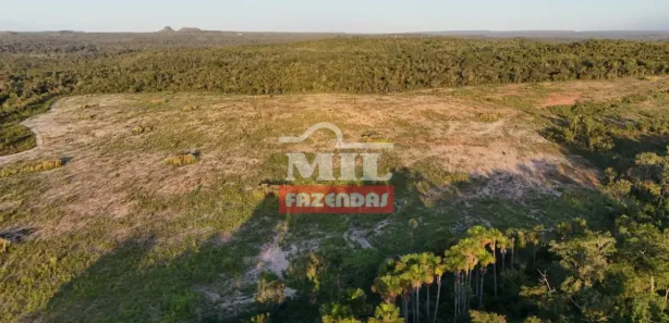 Fazenda / Sítio / Chácara à venda, 500m² no Setor Central, Ponte Alta do Tocantins