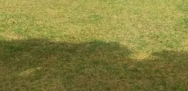 Fazenda / Sítio / Chácara com 4 Quartos à venda, 387200m² no Boqueirão, Saquarema