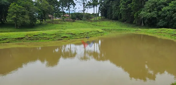 Fazenda / Sítio / Chácara com 6 Quartos à venda, 250m² no Área Rural de Araucária, Araucária