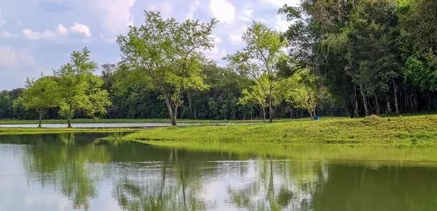 Fazenda / Sítio / Chácara com 3 Quartos à venda, 11000m² no Guajuvira, Araucária