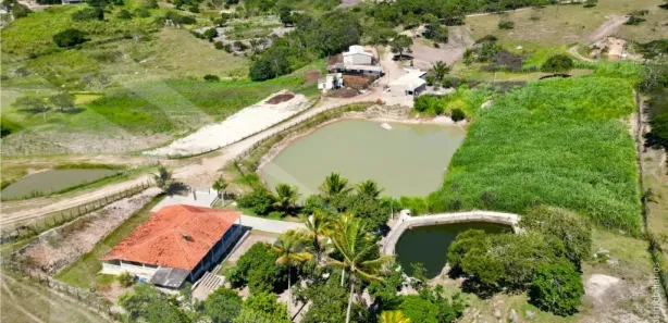 Fazenda / Sítio / Chácara com 3 Quartos à venda, 220000m² no , Sairé