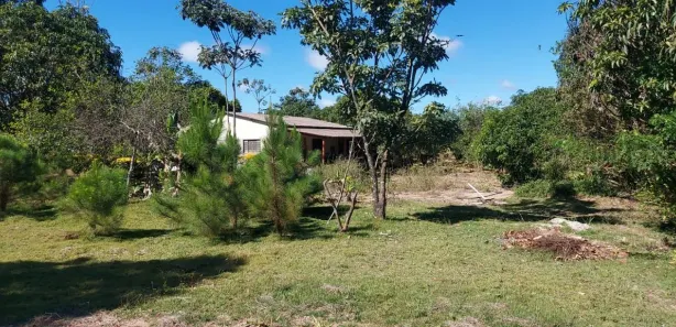 Fazenda / Sítio / Chácara com 3 Quartos à venda, 20000m² no Brazlândia, Brasília