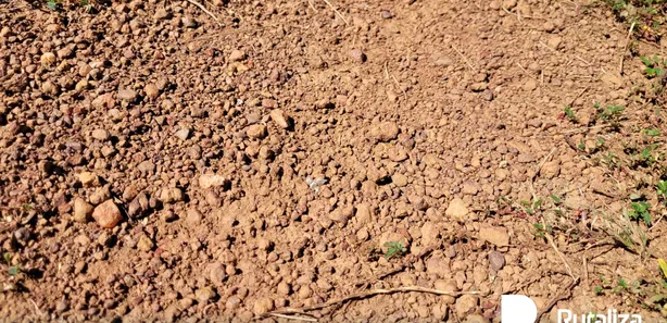 Fazenda / Sítio / Chácara à venda, 600m² no , Pium