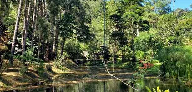 Fazenda / Sítio / Chácara com 5 Quartos à venda, 200m² no Prado, Nova Friburgo