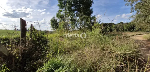 Fazenda / Sítio / Chácara à venda, 21917m² no , Contenda