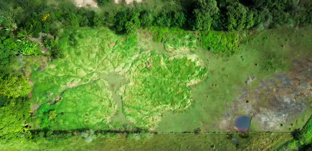 Fazenda / Sítio / Chácara à venda, 18000m² no Virgem Santa, Macaé