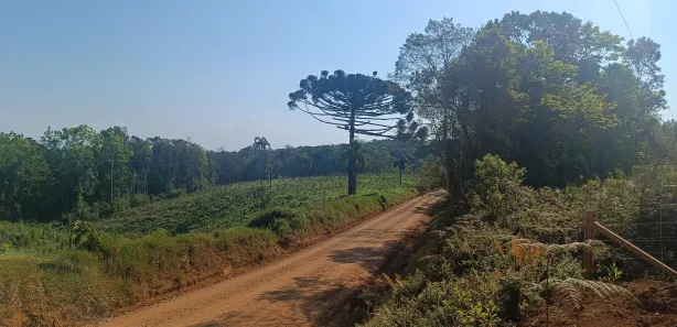 Fazenda / Sítio / Chácara à venda, 20000m² no Área Rural de Campo Largo, Campo Largo