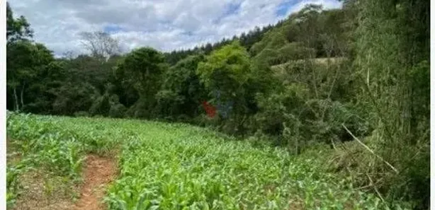 Fazenda / Sítio / Chácara com 1 Quarto à venda, 94682m² no , Tijucas do Sul