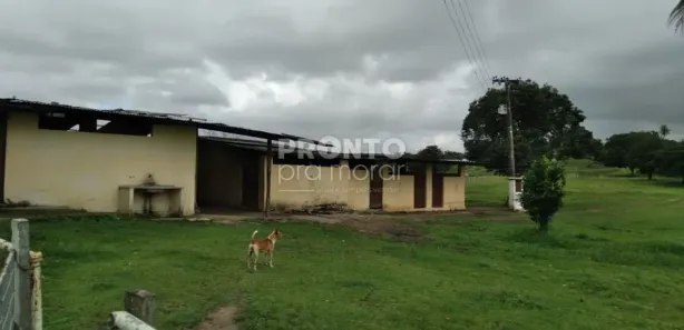 Fazenda / Sítio / Chácara com 2 Quartos à venda, 13m² no Matriz, Vitória de Santo Antão