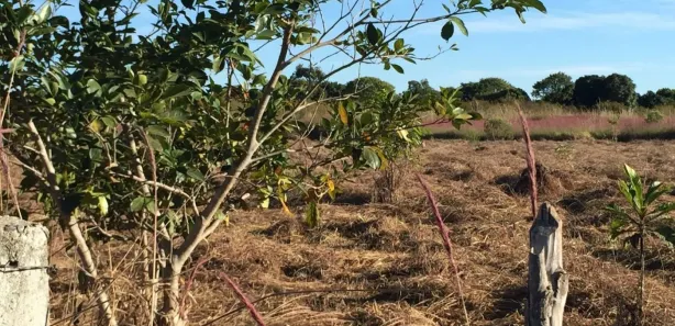 Fazenda / Sítio / Chácara à venda, 20000m² no Núcleo Rural Lago Oeste, Brasília